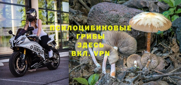 каннабис Балабаново