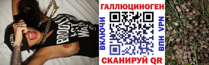 Псилоцибиновые грибы мухоморы  цены наркотик  Суворов 