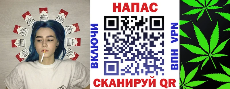 Бошки Шишки конопля Суворов